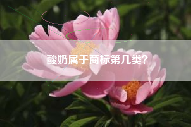 酸奶属于商标第几类？