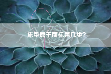 床垫属于商标第几类？