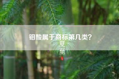 钼酸属于商标第几类？