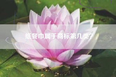 纸餐巾属于商标第几类? 纸餐巾属于商标第几类?