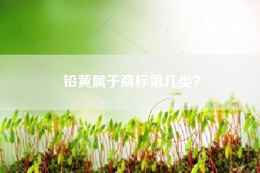 铅黄属于商标第几类？