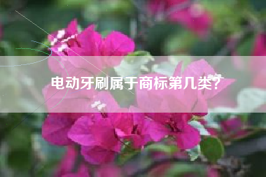 电动牙刷属于商标第几类？