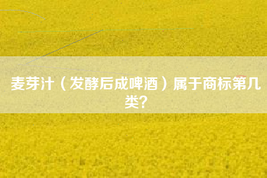 麦芽汁（发酵后成啤酒）属于商标第几类？
