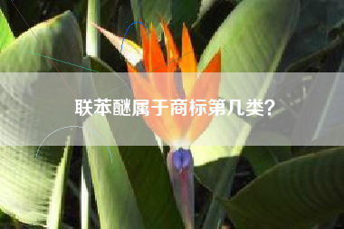 联苯醚属于商标第几类？