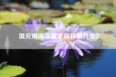 填充用海藻属于商标第几类？