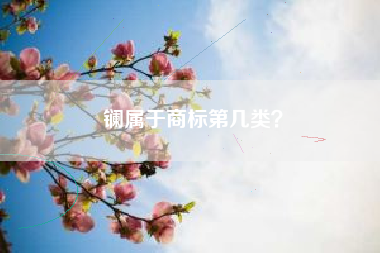 镧属于商标第几类？