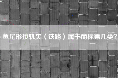 鱼尾形接轨夹（铁路）属于商标第几类？