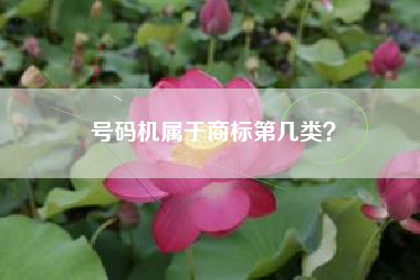 号码机属于商标第几类？