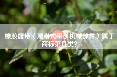 橡胶履带（履带式采矿机械部件）属于商标第几类？