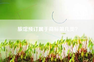 旅馆预订属于商标第几类? 旅馆预订属于商标第几类?