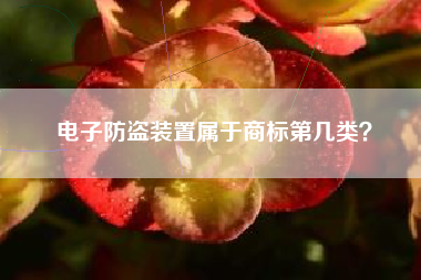 电子防盗装置属于商标第几类？