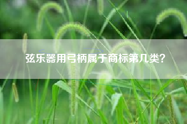 弦乐器用弓柄属于商标第几类？