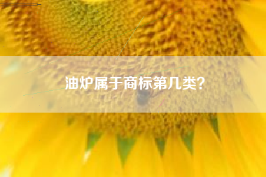 油炉属于商标第几类？