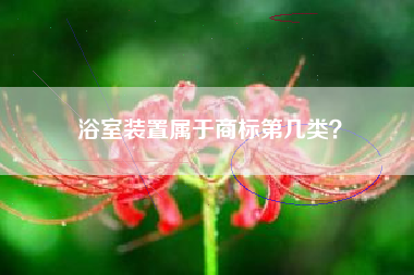 浴室装置属于商标第几类？