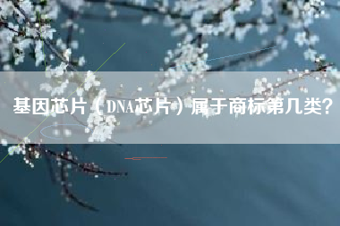 基因芯片（DNA芯片）属于商标第几类？