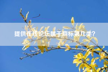 提供在线论坛属于商标第几类? 提供在线论坛属于商标第几类?