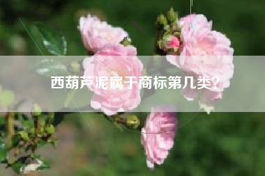 西葫芦泥属于商标第几类？