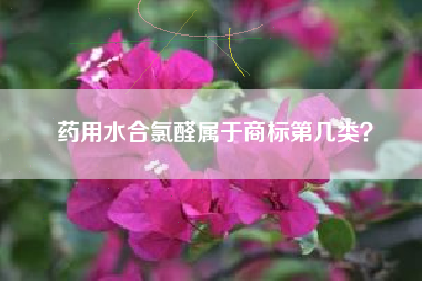 药用水合氯醛属于商标第几类？