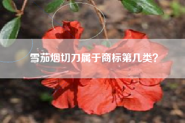 雪茄烟切刀属于商标第几类？