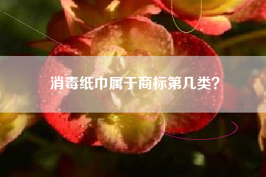消毒纸巾属于商标第几类? 消毒纸巾属于商标第几类?