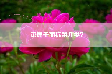铊属于商标第几类？