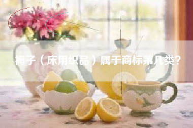 褥子（床用织品）属于商标第几类？