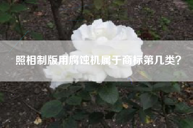 照相制版用腐蚀机属于商标第几类？