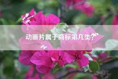 动画片属于商标第几类? 动画片属于商标第几类?