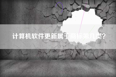计算机软件更新属于商标第几类？