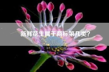 新鲜花生属于商标第几类？