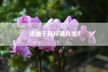 铯属于商标第几类？