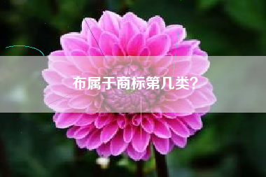 布属于商标第几类？