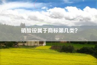 硝酸铵属于商标第几类？