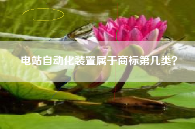 电站自动化装置属于商标第几类? 电站自动化装置属于商标第几类?