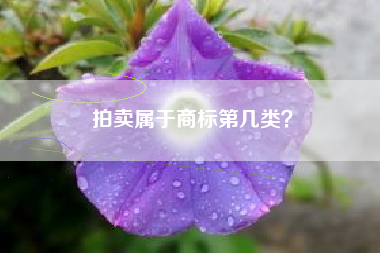拍卖属于商标第几类? 拍卖属于商标第几类?