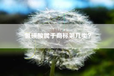 氯磺酸属于商标第几类？