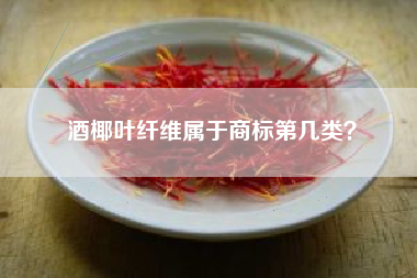 酒椰叶纤维属于商标第几类？