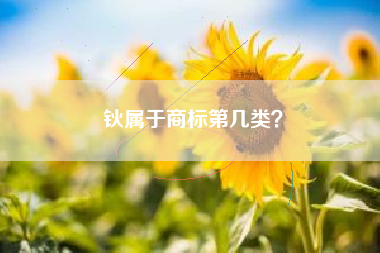 钬属于商标第几类？