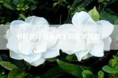 书籍装订细绳属于商标第几类？