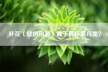 补花（缝纫用品）属于商标第几类？