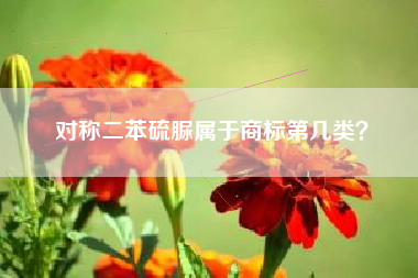 对称二苯硫脲属于商标第几类？
