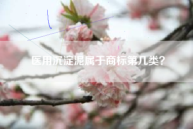 医用沉淀泥属于商标第几类？