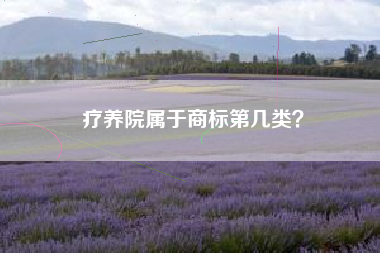 疗养院属于商标第几类？