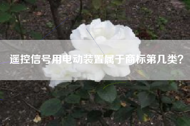 遥控信号用电动装置属于商标第几类？