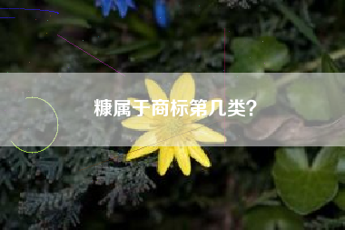 糠属于商标第几类？