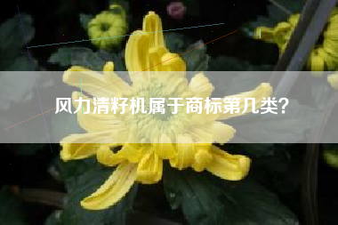 风力清籽机属于商标第几类？