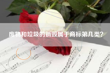 废物和垃圾的销毁属于商标第几类？