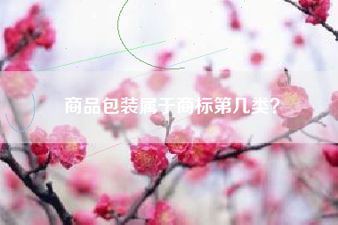 商品包装属于商标第几类? 商品包装属于商标第几类?