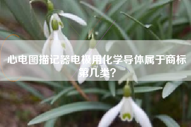 心电图描记器电极用化学导体属于商标第几类？