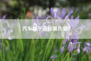 汽车属于商标第几类？